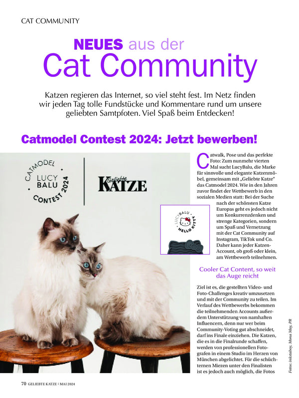 Geliebte Katze - April 2024