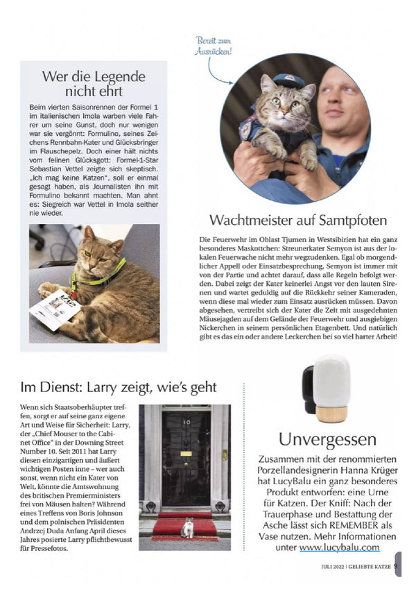 Geliebte Katze - Juli 2022