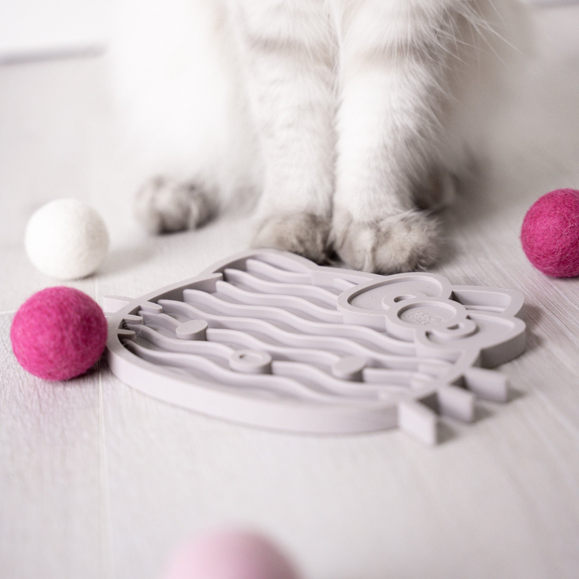 Clickertraining für Katzen – und wie Schleckmatten dabei helfen können