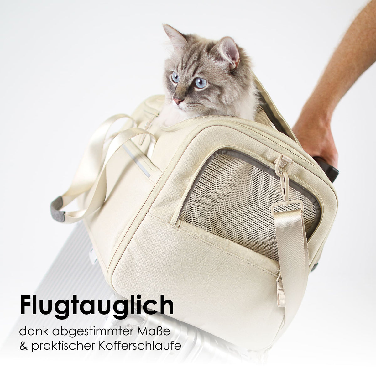 CHECK-IN Transporttasche