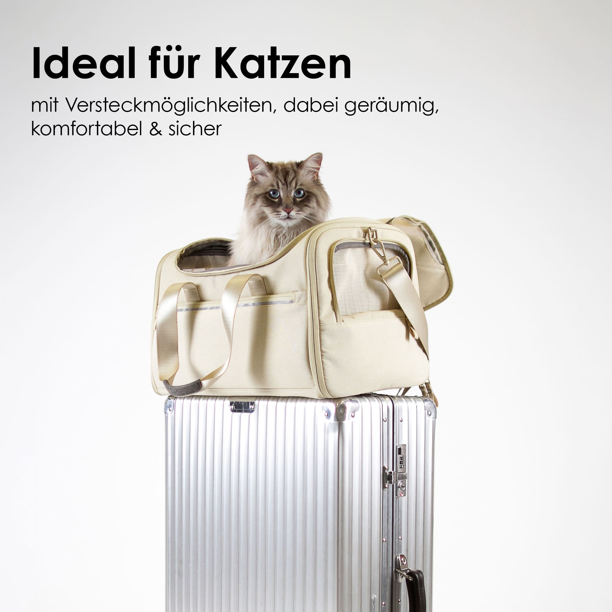 CHECK-IN Cat carrier bag