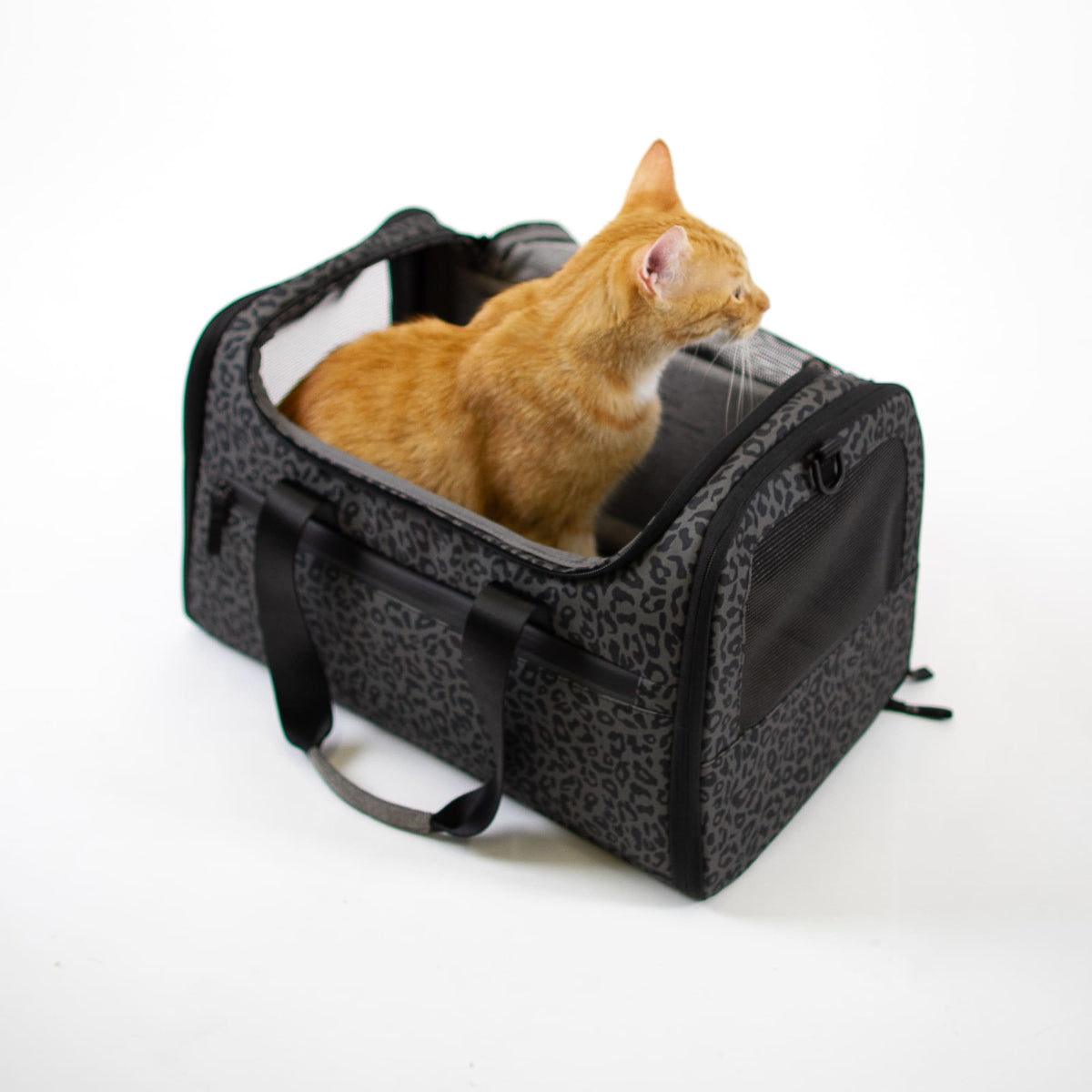 CHECK-IN Transporttasche