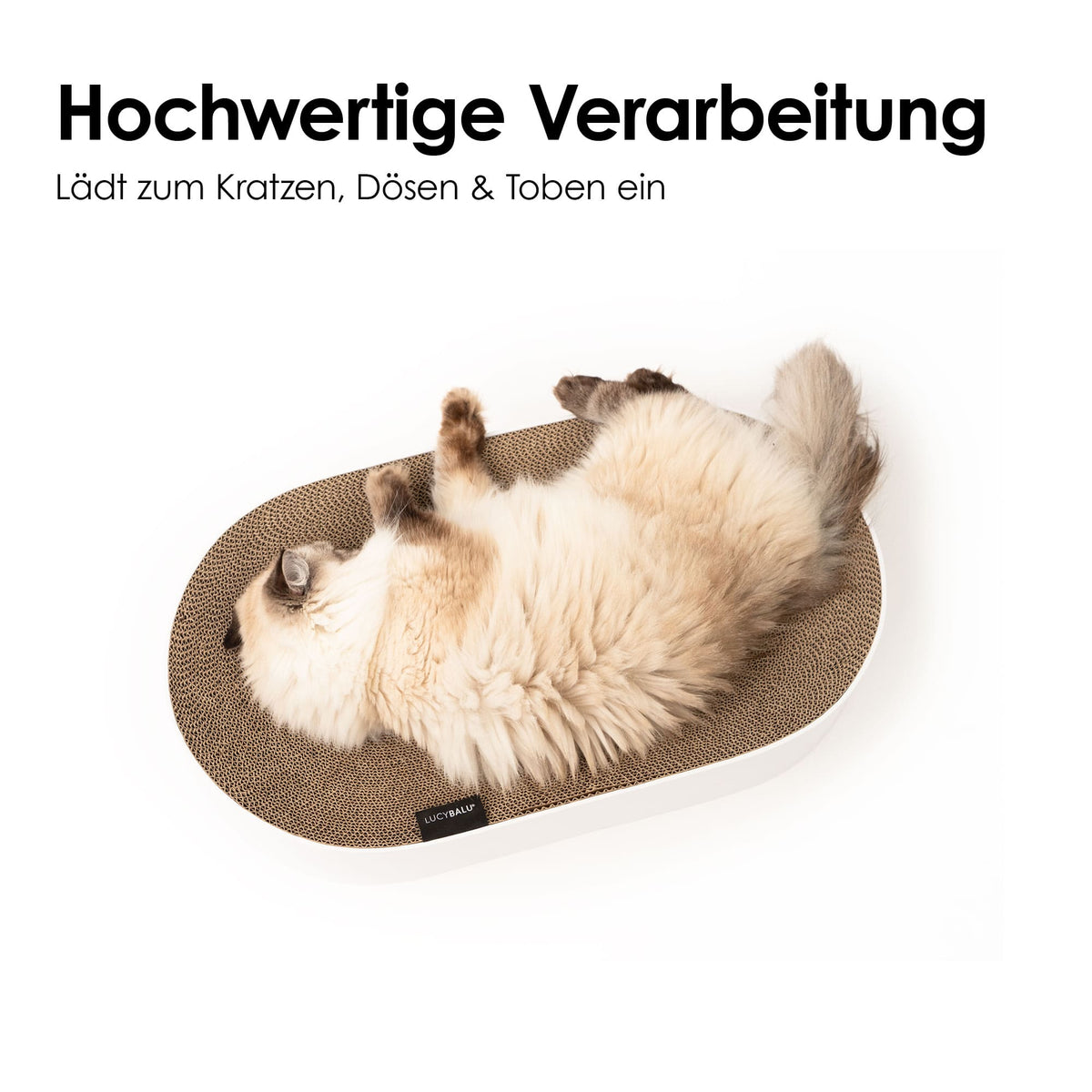 SCRATCHBED designer cardboard bed