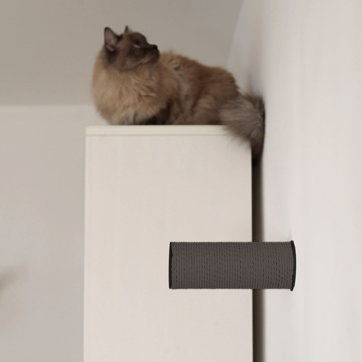 JUMPER scratching post