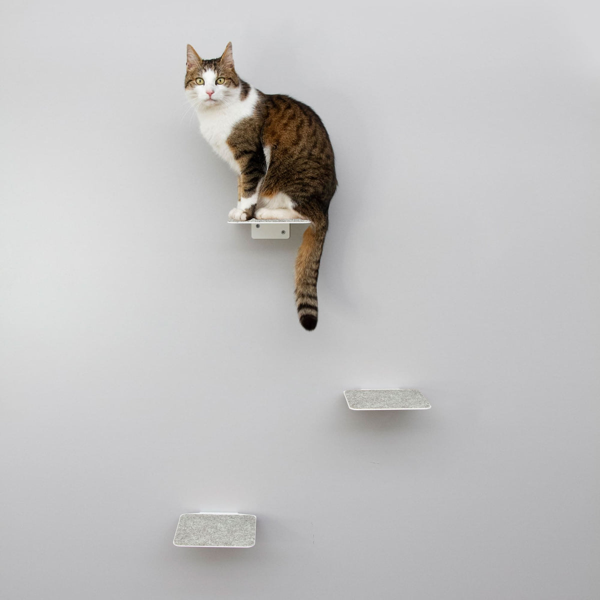 Cat wall set white - SCRATCHPAD