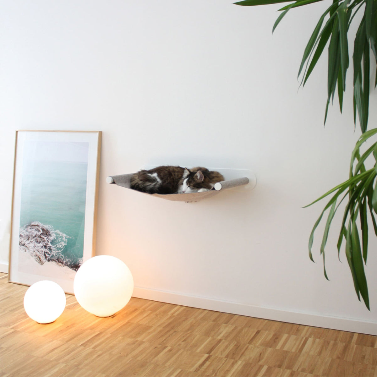 Cat wall set white - SCRATCHPAD