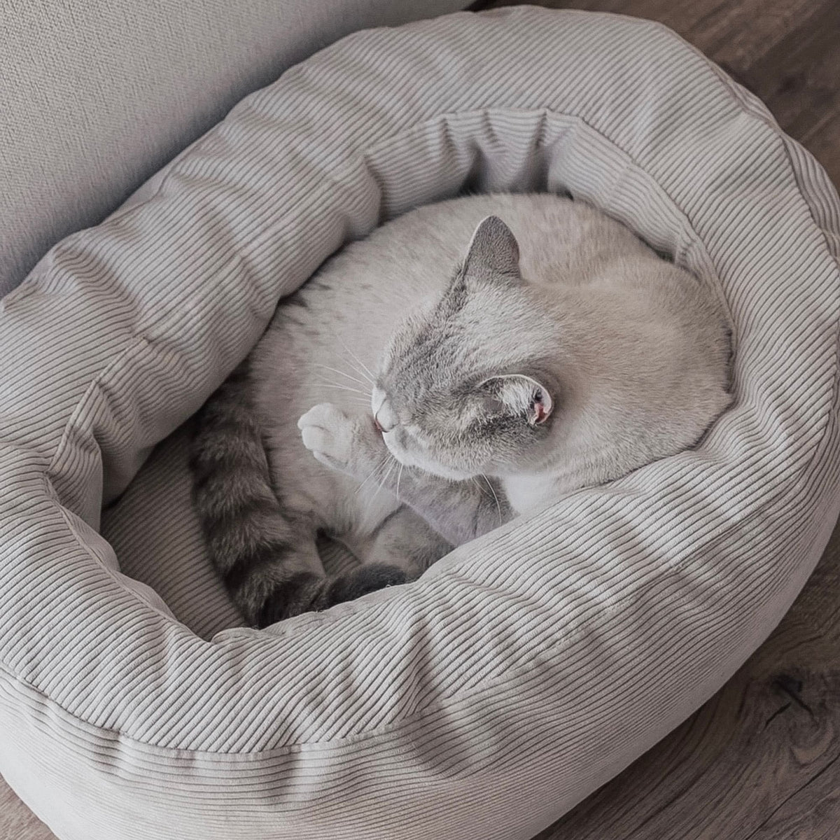 DINGHY cat bed