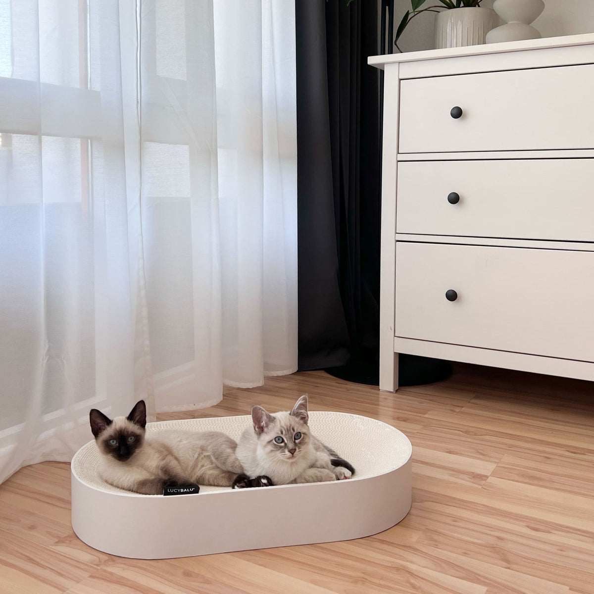 SCRATCHBED designer cardboard bed