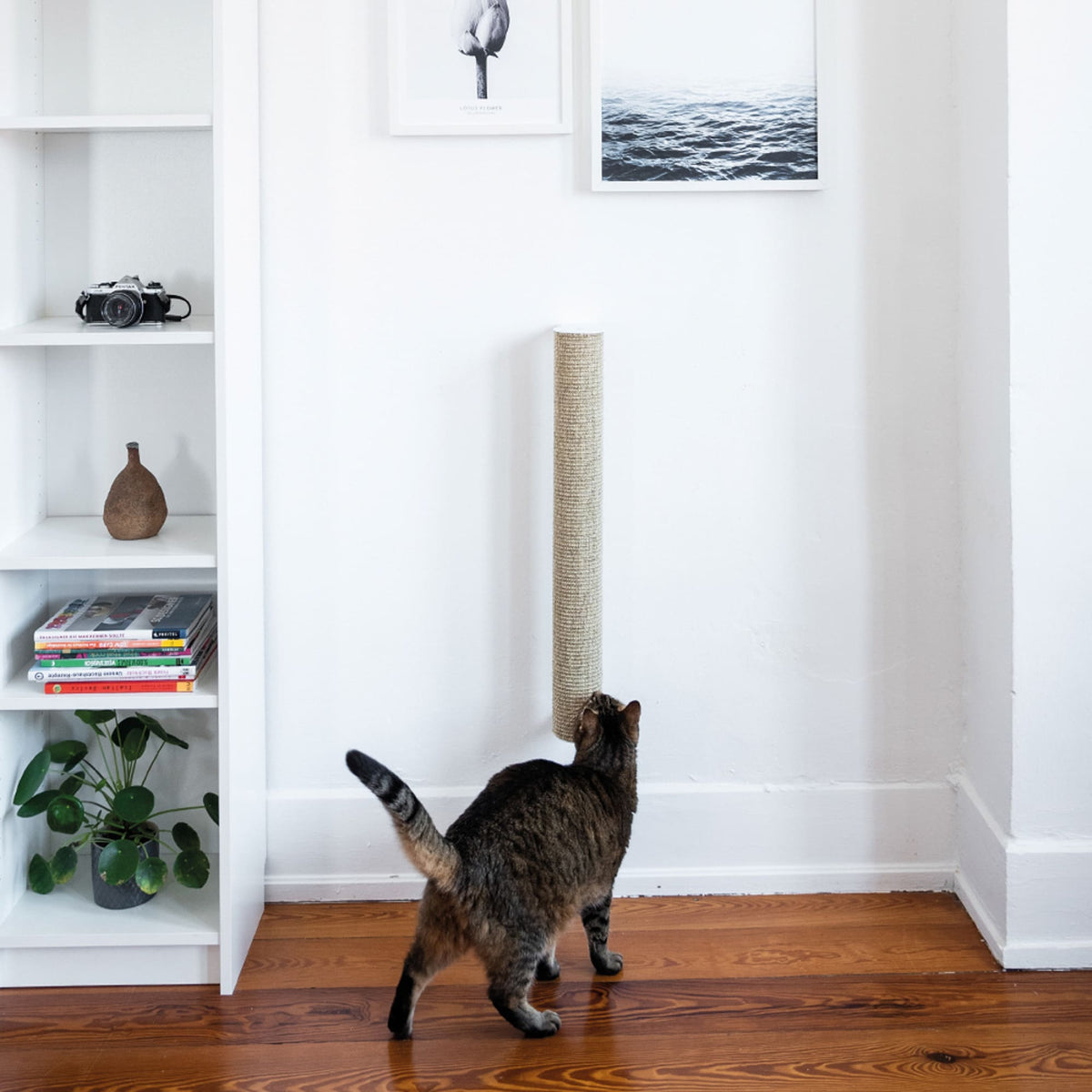 Cat wall set white - CATWALK