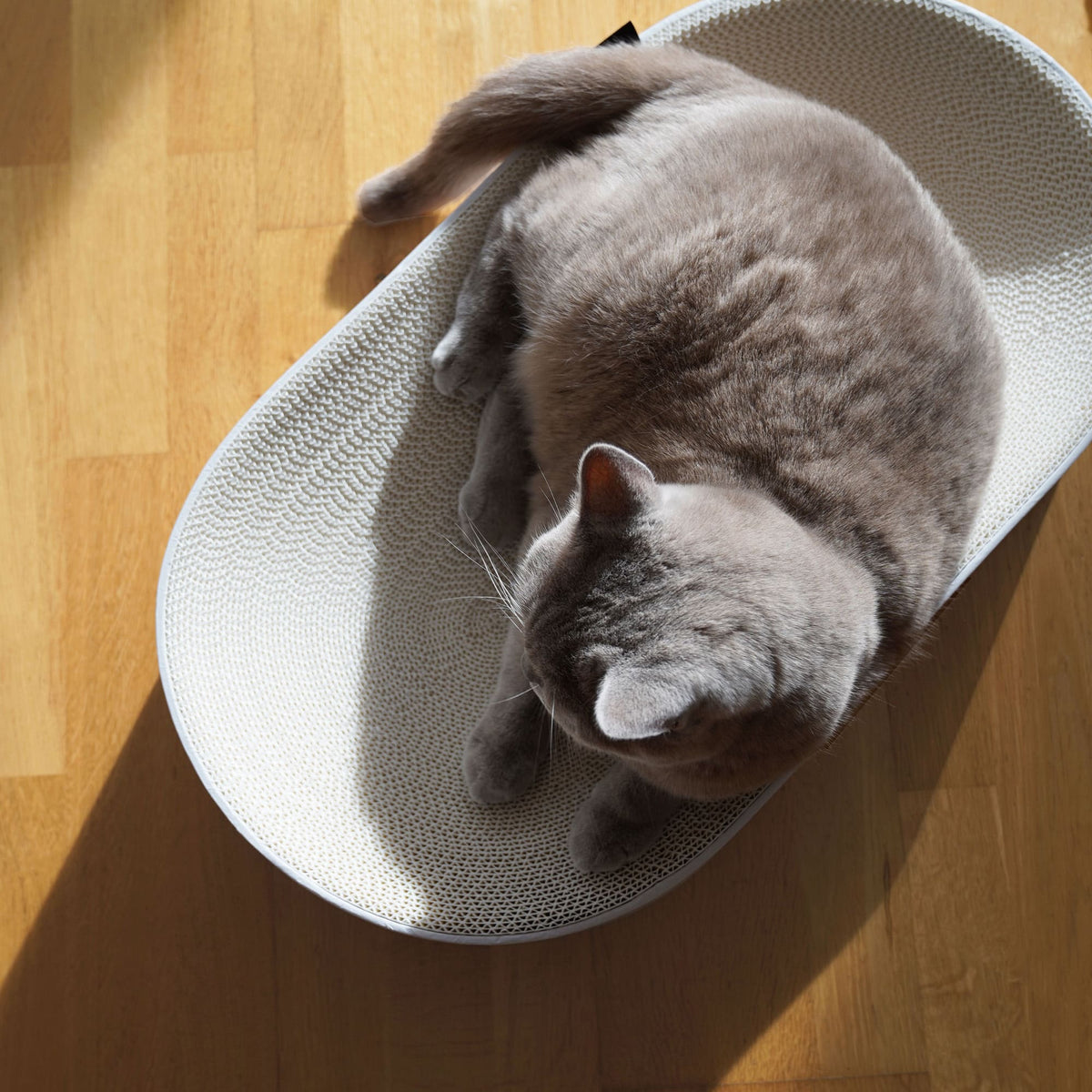 SCRATCHBED designer cardboard bed