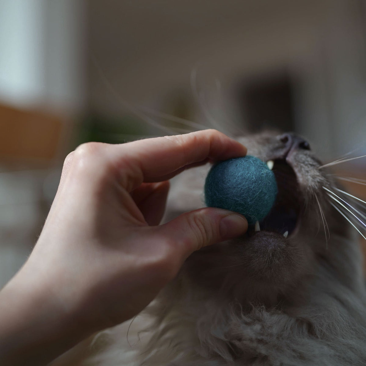 OCEAN VIBES Felt balls