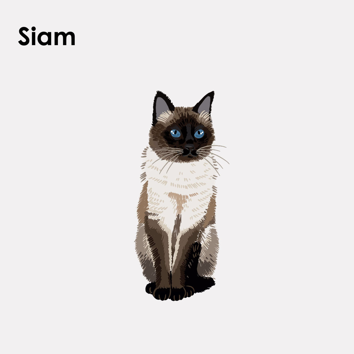 STICKY CATS Felt