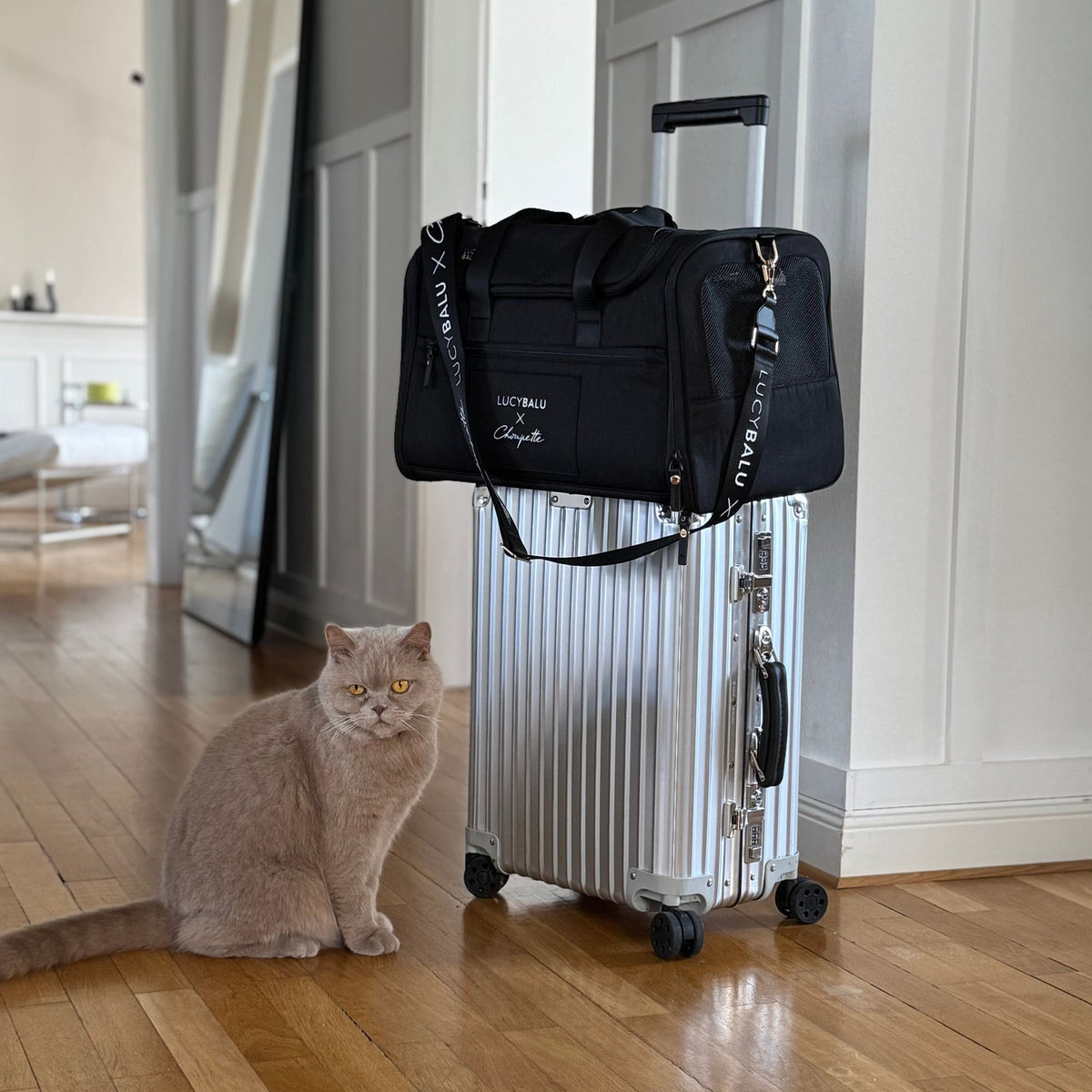 CHECK-IN Transporttasche | Choupette Edition