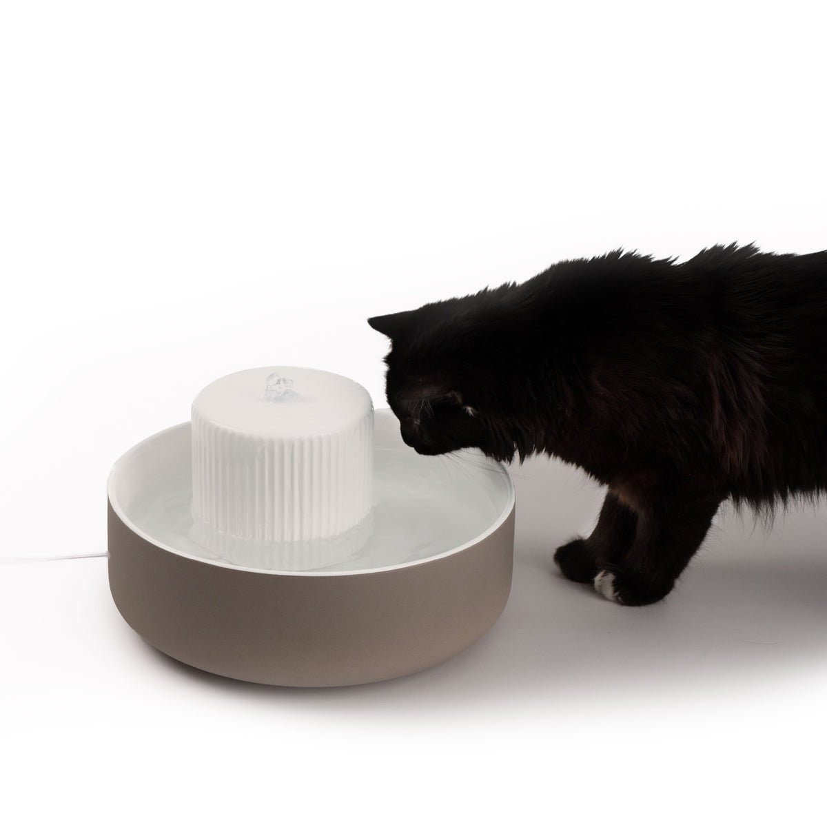 TREVI cat water fountain