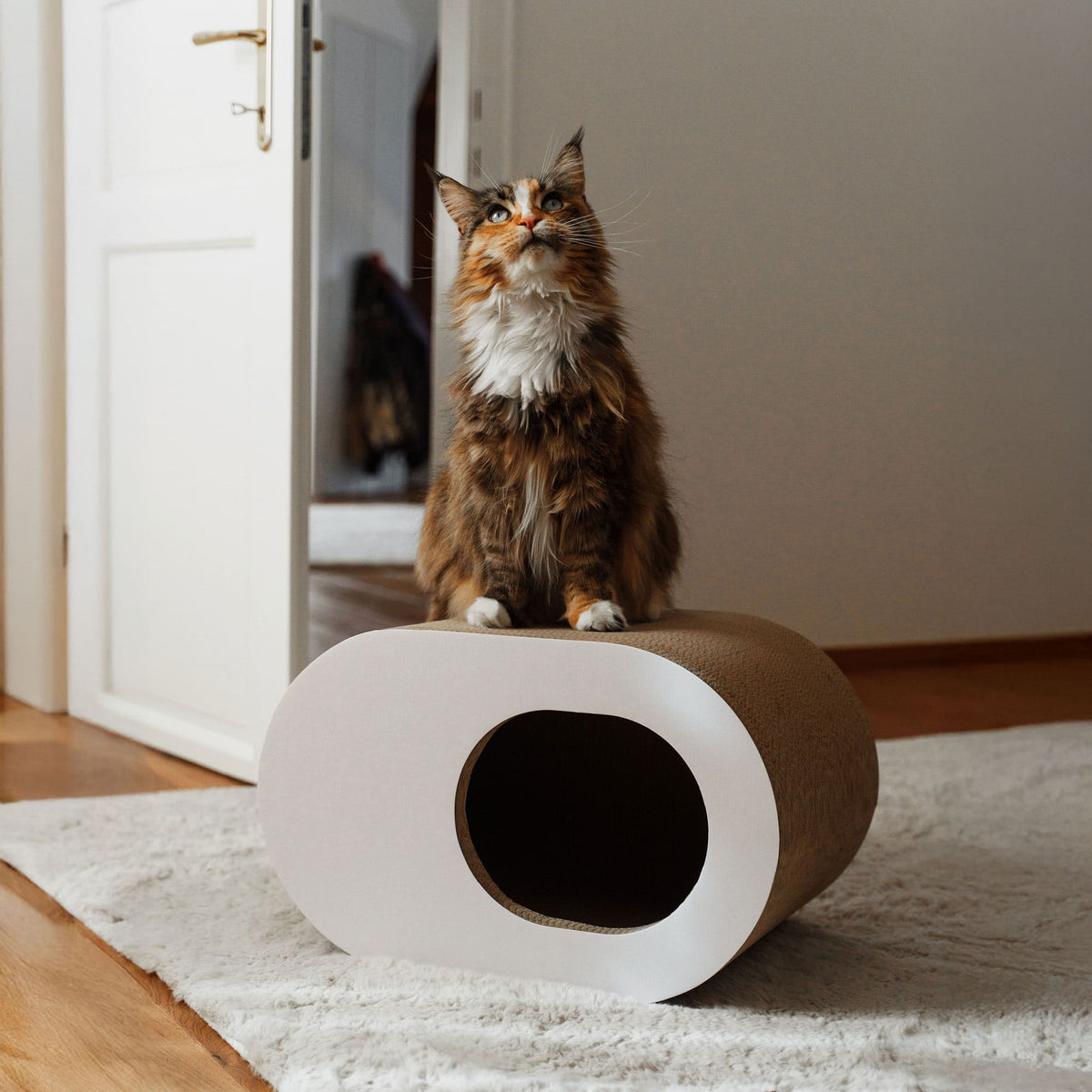 PAPERCAVE Cat cave