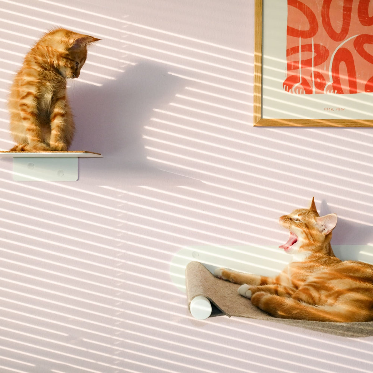 Cat wall set white - SCRATCHPAD
