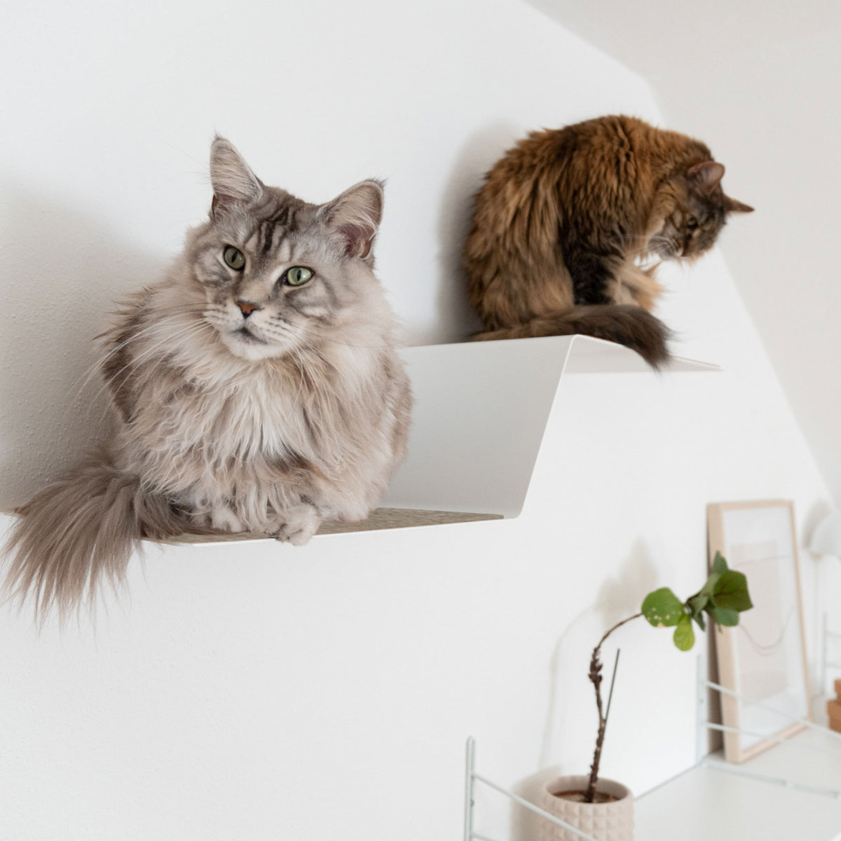 WAVE cat climbing step XXL