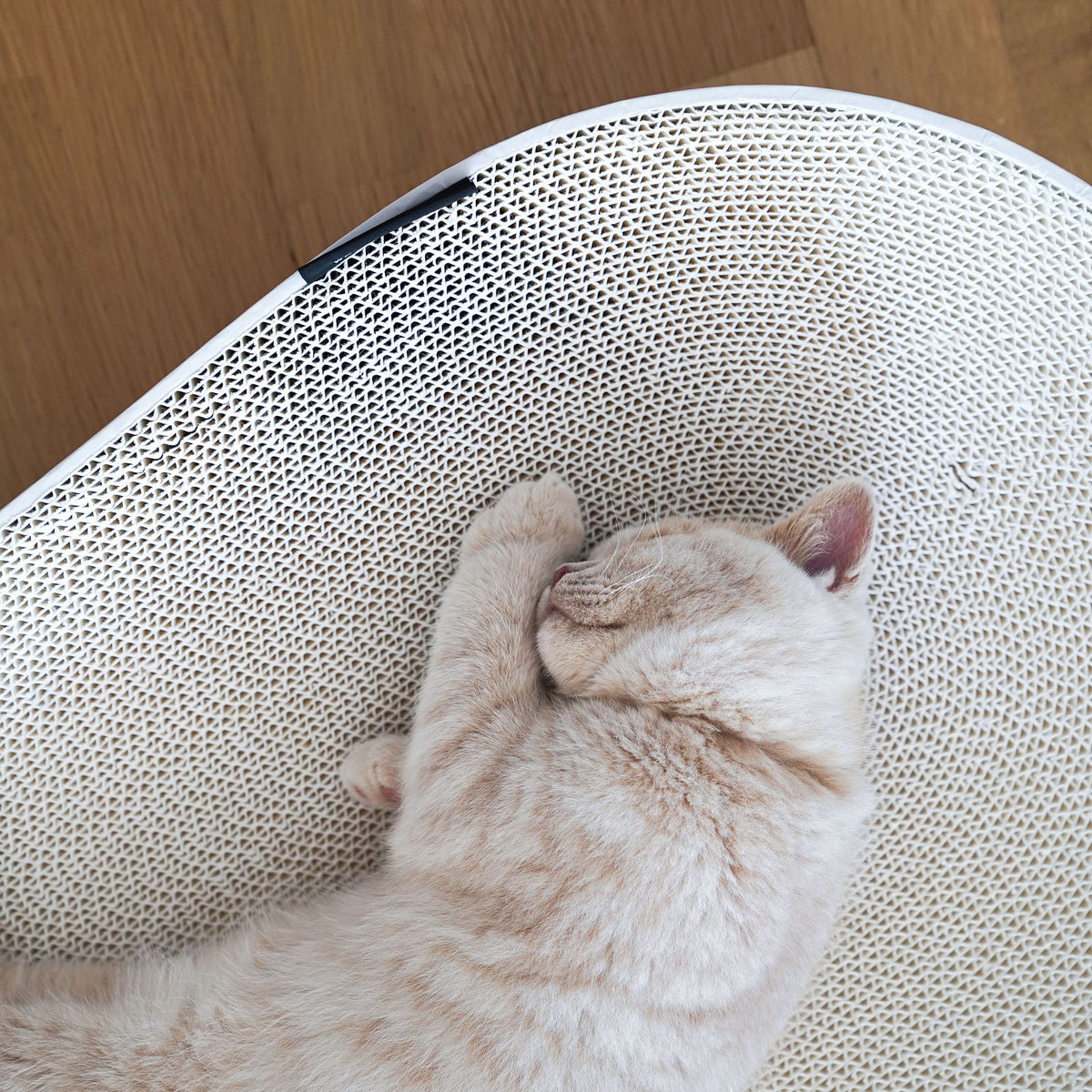 SCRATCHBED designer cardboard bed