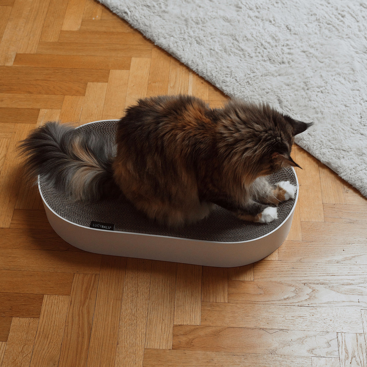 SCRATCHBED designer cardboard bed