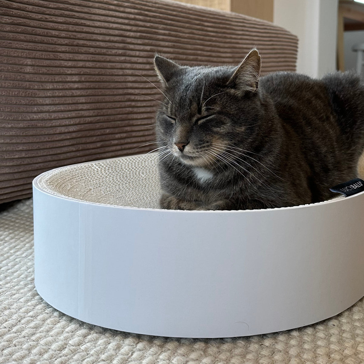 SCRATCHBED designer cardboard bed