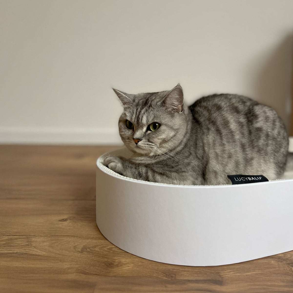SCRATCHBED designer cardboard bed