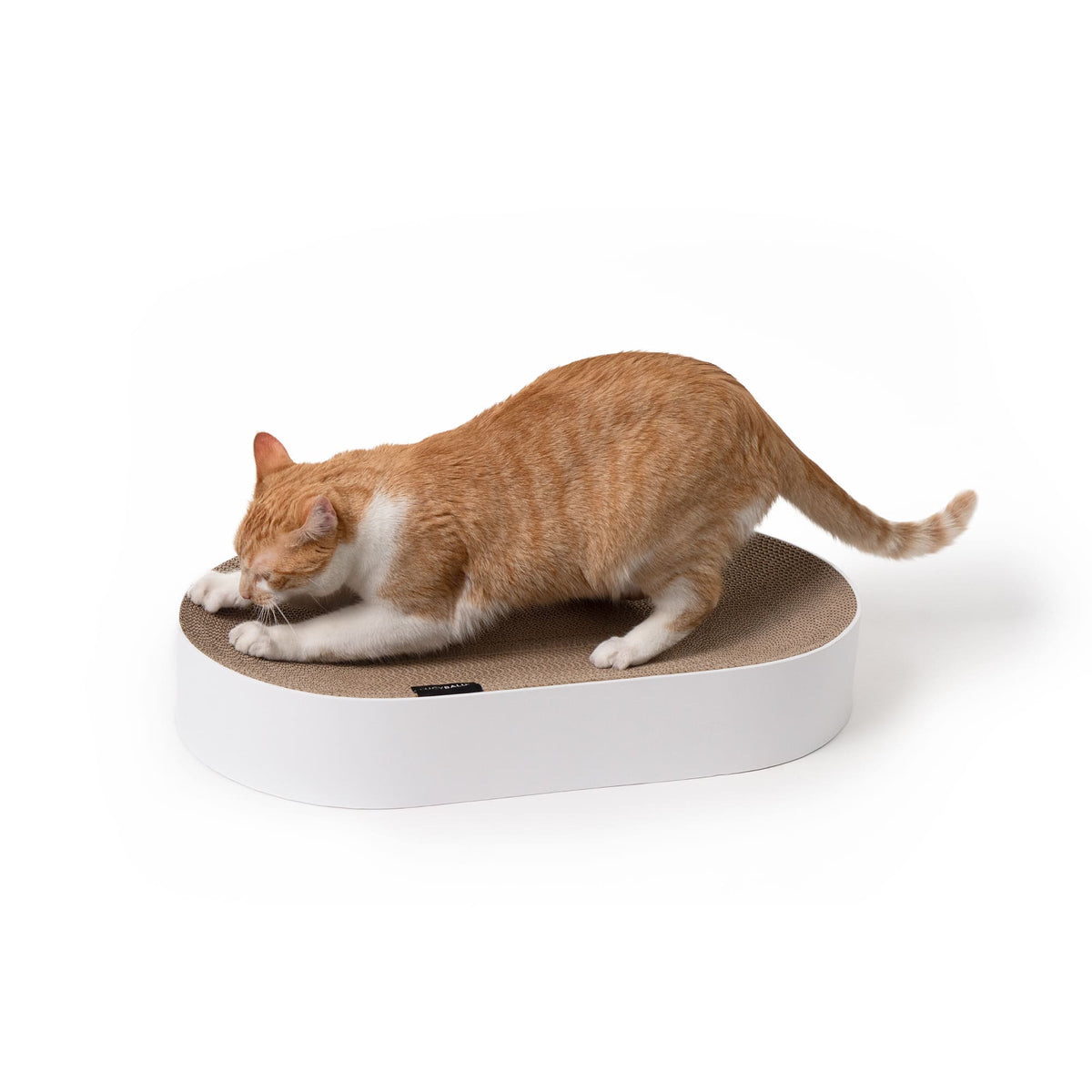 SCRATCHBED designer cardboard bed