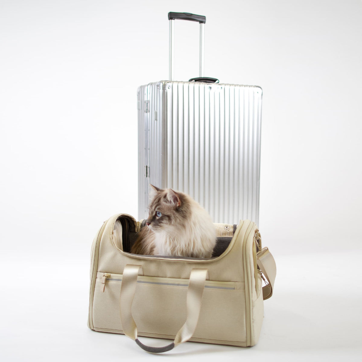 CHECK-IN Transporttasche