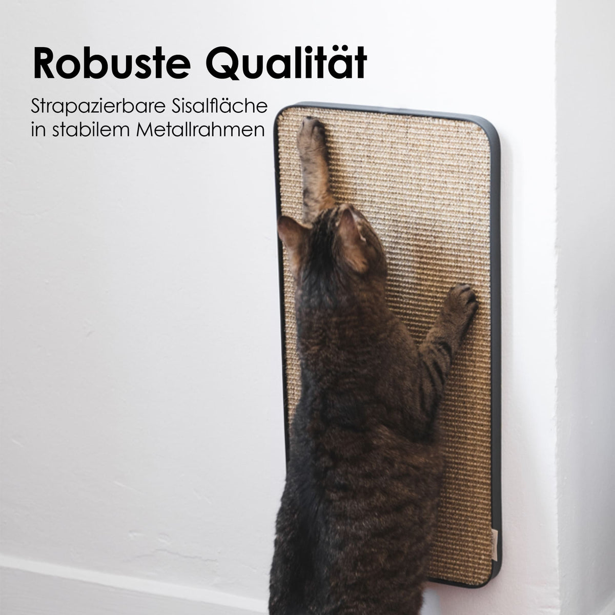 robustes Katzen Kratzbrett
