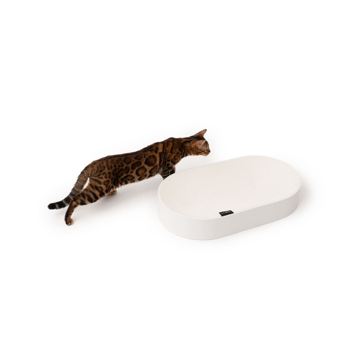 SCRATCHBED designer cardboard bed