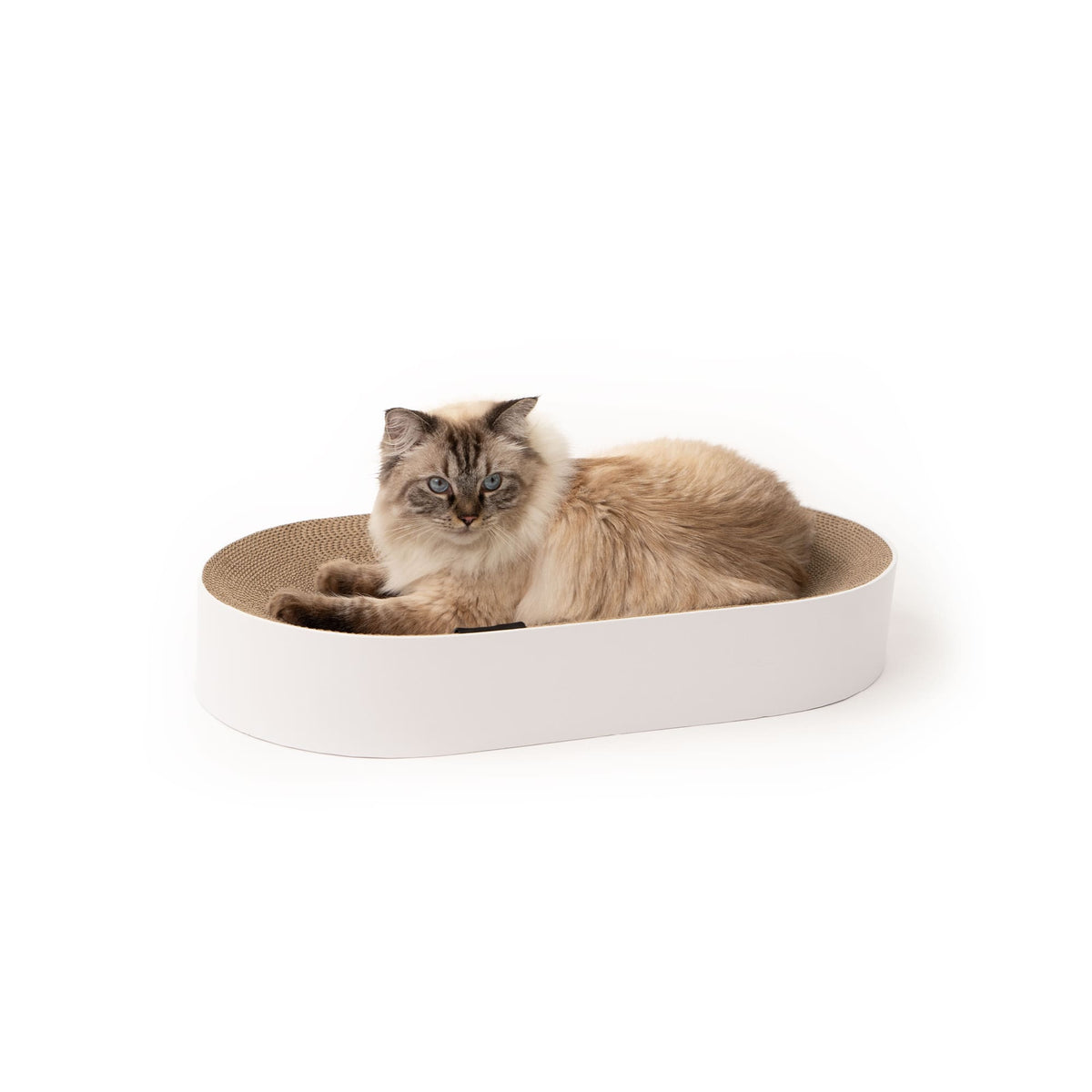SCRATCHBED designer cardboard bed