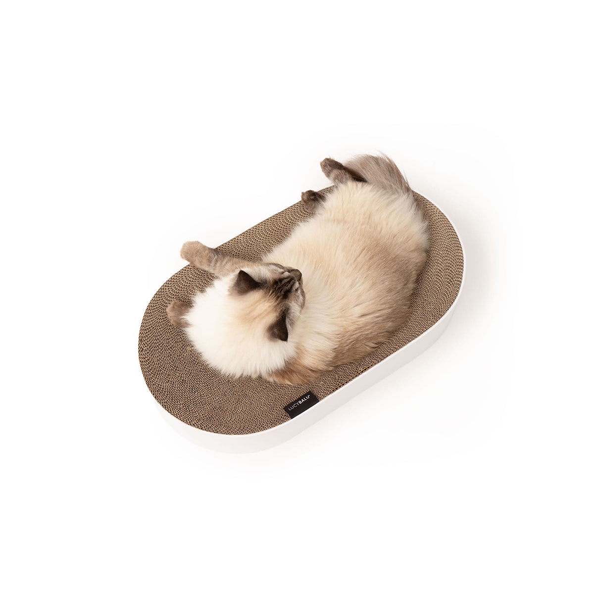 SCRATCHBED designer cardboard bed