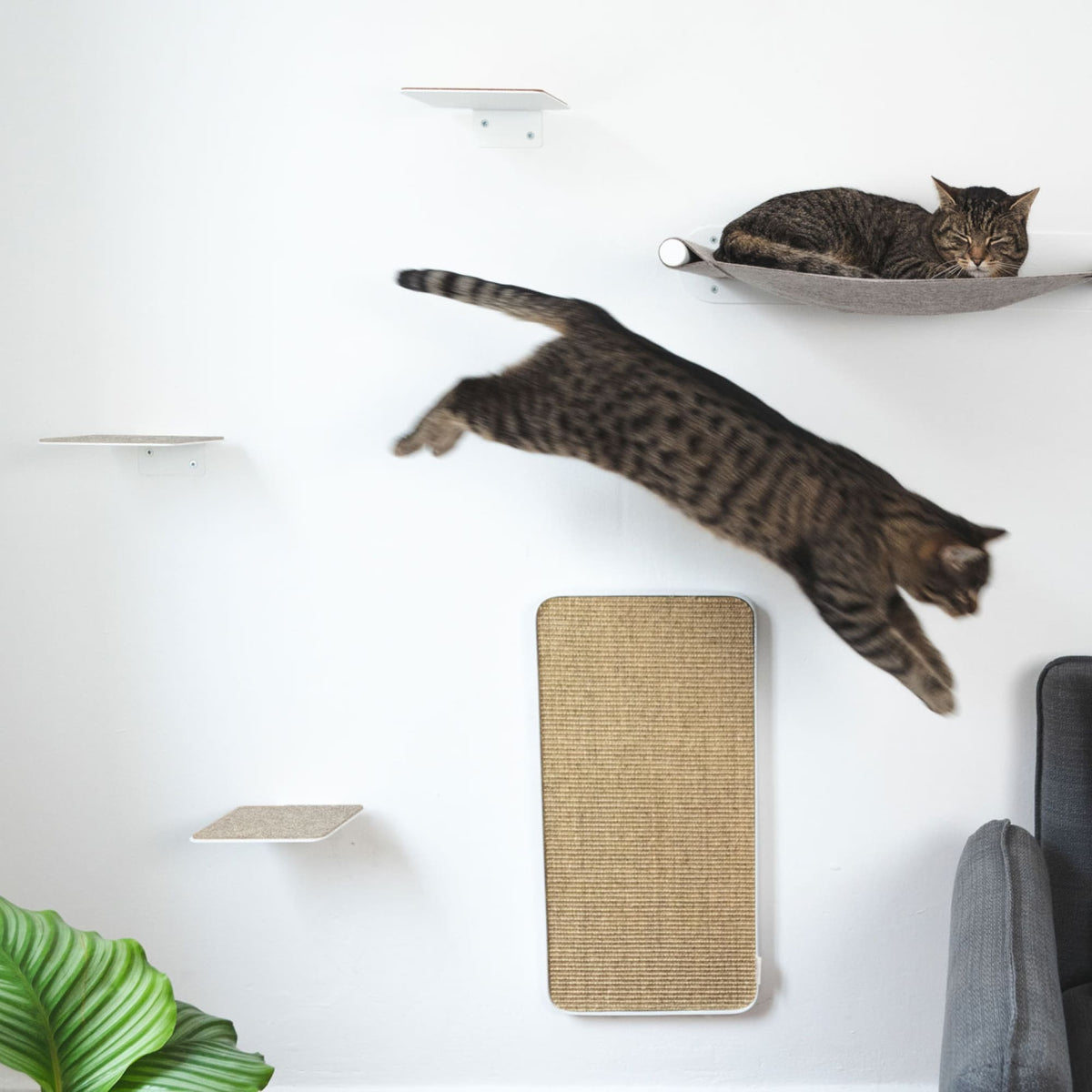 Cat wall set white - SCRATCHPAD