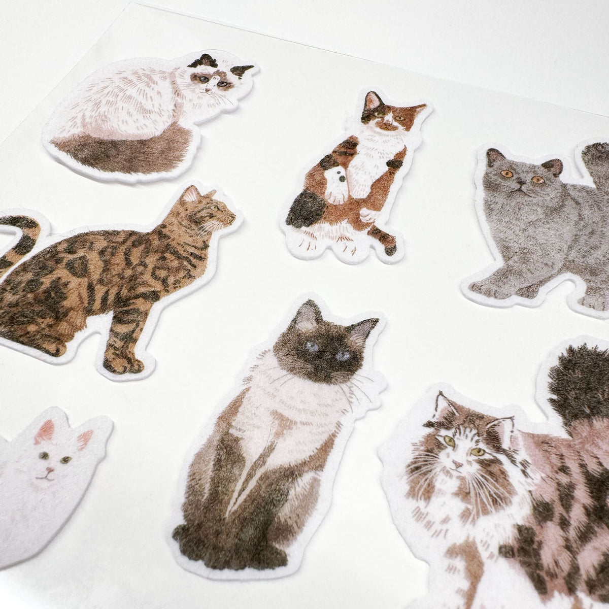 STICKY CATS Felt